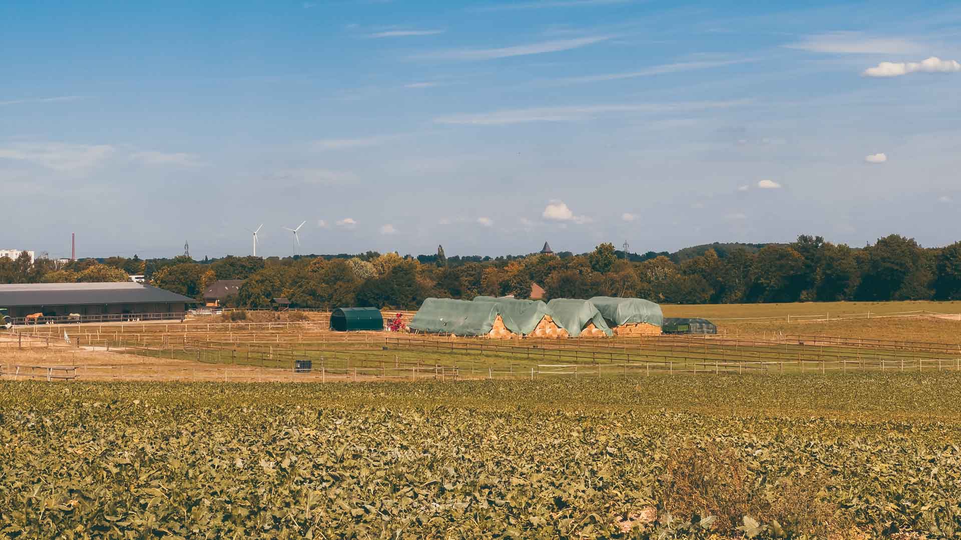 Teslimat ve İade Koşulları